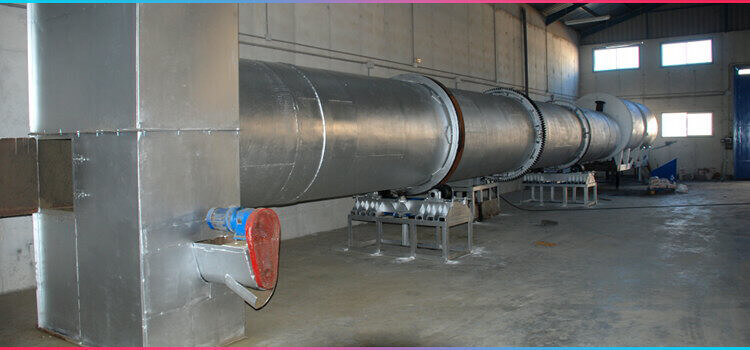 servicios exclusivos