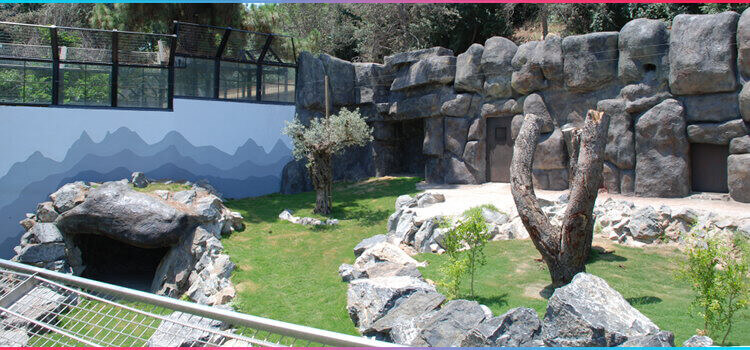 servicios exclusivos